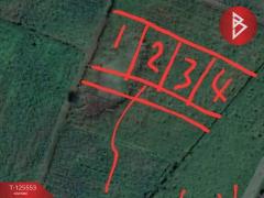 ขายที่ดินเปล่า เนื้อที่ 2 งาน 30 ตารางวา ท่าม่วง กาญจนบุรี-202511011458021761983882923.jpg