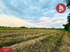 ขายที่ดินเปล่า เนื้อที่ 1 ไร่ 1 งาน 67.2 ตารางวา เขตเทศบาลเมืองตาคลี นครสวรรค์