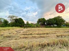 ขายที่ดินเปล่า เนื้อที่ 1 ไร่ 1 งาน 67.2 ตารางวา เขตเทศบาลเมืองตาคลี นครสวรรค์-202511011508391761984519905.jpg