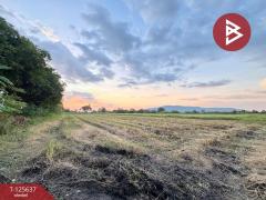 ขายที่ดินเปล่า เนื้อที่ 1 ไร่ 1 งาน 67.2 ตารางวา เขตเทศบาลเมืองตาคลี นครสวรรค์-202511011508411761984521323.jpg