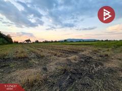 ขายที่ดินเปล่า เนื้อที่ 1 ไร่ 1 งาน 67.2 ตารางวา เขตเทศบาลเมืองตาคลี นครสวรรค์-202511011508411761984521871.jpg