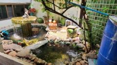 ขายบ้านพร้อมที่ดิน 550 ตารางวา มีบ้านสองหลังใหญ่ ที่ดินติดถนนเข้าออกได้หลายทาง-202511011510341761984634407.jpg