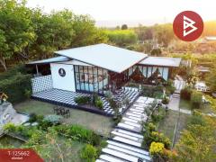 ขายที่ดินพร้อมกิจการคาเฟ่ เนื้อที่ 14 ไร่ 42.9 ตารางวา ชัยพร เมืองบึงกาฬ