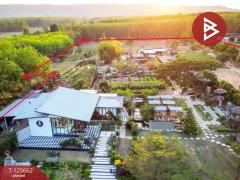 ขายที่ดินพร้อมกิจการคาเฟ่ เนื้อที่ 14 ไร่ 42.9 ตารางวา ชัยพร เมืองบึงกาฬ-202511011513501761984830999.jpg