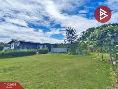 ขายที่ดินพร้อมกิจการคาเฟ่ เนื้อที่ 14 ไร่ 42.9 ตารางวา ชัยพร เมืองบึงกาฬ-202511011513531761984833143.jpg