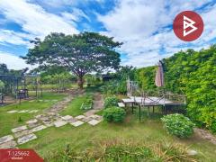 ขายที่ดินพร้อมกิจการคาเฟ่ เนื้อที่ 14 ไร่ 42.9 ตารางวา ชัยพร เมืองบึงกาฬ-202511011513541761984834239.jpg