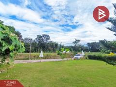 ขายที่ดินพร้อมกิจการคาเฟ่ เนื้อที่ 14 ไร่ 42.9 ตารางวา ชัยพร เมืองบึงกาฬ-202511011513541761984834781.jpg