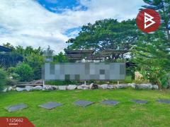 ขายที่ดินพร้อมกิจการคาเฟ่ เนื้อที่ 14 ไร่ 42.9 ตารางวา ชัยพร เมืองบึงกาฬ-202511011513551761984835870.jpg