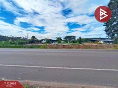 ขายที่ดินพร้อมกิจการคาเฟ่ เนื้อที่ 14 ไร่ 42.9 ตารางวา ชัยพร เมืองบึงกาฬ-202511011513561761984836424.jpg