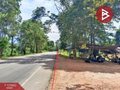 ขายที่ดินพร้อมกิจการคาเฟ่ เนื้อที่ 14 ไร่ 42.9 ตารางวา ชัยพร เมืองบึงกาฬ-202511011513571761984837519.jpg