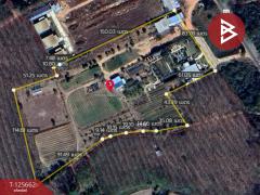 ขายที่ดินพร้อมกิจการคาเฟ่ เนื้อที่ 14 ไร่ 42.9 ตารางวา ชัยพร เมืองบึงกาฬ-202511011513581761984838075.jpg