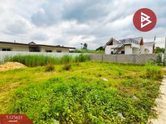 ขายที่ดินเปล่า เนื้อที่ 100 ตารางวา ต.สวนกล้วย อ.บ้านโป่ง จ.ราชบุรี-202511011518321761985112295.jpg