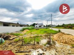 ขายที่ดินเปล่า เนื้อที่ 100 ตารางวา ต.สวนกล้วย อ.บ้านโป่ง จ.ราชบุรี-202511011518321761985112834.jpg