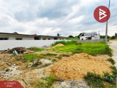 ขายที่ดินเปล่า เนื้อที่ 100 ตารางวา ต.สวนกล้วย อ.บ้านโป่ง จ.ราชบุรี-202511011518331761985113372.jpg