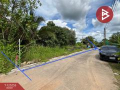 ขายที่ดิน เนื้อที่ 2 งาน 92.8 ตร.วา บ้านค่าย ระยอง-202511011613121761988392077.jpg