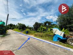 ขายที่ดิน เนื้อที่ 2 งาน 92.8 ตร.วา บ้านค่าย ระยอง-202511011613121761988392620.jpg