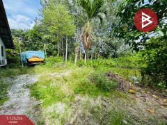 ขายที่ดิน เนื้อที่ 2 งาน 92.8 ตร.วา บ้านค่าย ระยอง-202511011613131761988393155.jpg