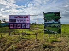 ราคานี้หาไม่ได้อีกแล้ว!! ขายที่ดิน ติดถนน ต.หนองเพรางาย อ.ไทรน้อย จ.นนทบุรี ใกล้มหิดล ศาลายา และแหล่งชุมชน Tel. 099-607-6116-202511011835191761996919963.jpg