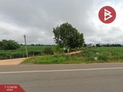 ขายที่ดิน-เนื้อที่-39-ไร่-87-ตร.วา-ปากช่