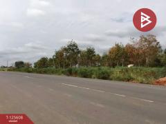 ขายที่ดิน เนื้อที่ 39 ไร่ 87 ตร.วา ปากช่อง นครราชสีมา-202511012242021762011722503.jpg