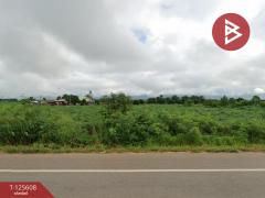 ขายที่ดิน เนื้อที่ 39 ไร่ 87 ตร.วา ปากช่อง นครราชสีมา-202511012242031762011723596.jpg