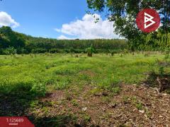 ขายที่ดินติดทะเล เนื้อที่ 11 ไร่ แหลมงอบ จ.ตราด-202511012304481762013088585.jpg