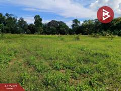 ขายที่ดินติดทะเล เนื้อที่ 11 ไร่ แหลมงอบ จ.ตราด-202511012304491762013089126.jpg