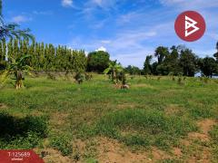 ขายที่ดินติดทะเล เนื้อที่ 11 ไร่ แหลมงอบ จ.ตราด-202511012304491762013089654.jpg