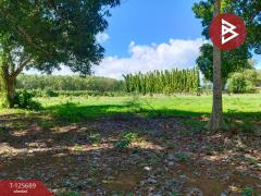 ขายที่ดินติดทะเล เนื้อที่ 11 ไร่ แหลมงอบ จ.ตราด-202511012304501762013090184.jpg