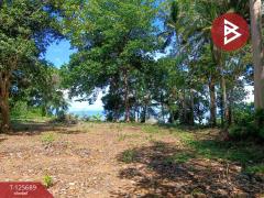 ขายที่ดินติดทะเล เนื้อที่ 11 ไร่ แหลมงอบ จ.ตราด-202511012304501762013090716.jpg