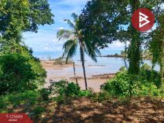 ขายที่ดินติดทะเล เนื้อที่ 11 ไร่ แหลมงอบ จ.ตราด-202511012304511762013091248.jpg