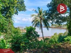 ขายที่ดินติดทะเล เนื้อที่ 11 ไร่ แหลมงอบ จ.ตราด-202511012304511762013091779.jpg