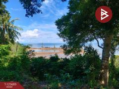 ขายที่ดินติดทะเล เนื้อที่ 11 ไร่ แหลมงอบ จ.ตราด-202511012304521762013092305.jpg