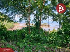 ขายที่ดินติดทะเล เนื้อที่ 11 ไร่ แหลมงอบ จ.ตราด-202511012304521762013092830.jpg