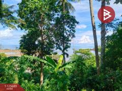 ขายที่ดินติดทะเล เนื้อที่ 11 ไร่ แหลมงอบ จ.ตราด-202511012304531762013093364.jpg