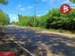 ขายที่ดินติดทะเล เนื้อที่ 11 ไร่ แหลมงอบ จ.ตราด-202511012304541762013094716.jpg