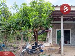 ขายบ้านเดี่ยวพร้อมที่ดิน เนื้อที่ 2 ไร่ 98.1 ตร.วา บ้านยาง นครปฐม-202511012321561762014116858.jpg