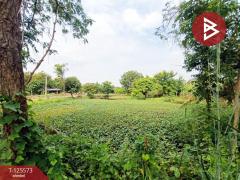 ขายบ้านเดี่ยวพร้อมที่ดิน เนื้อที่ 2 ไร่ 98.1 ตร.วา บ้านยาง นครปฐม-202511012322001762014120582.jpg