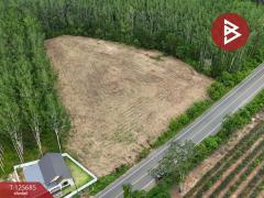 ขายที่ดินเปล่า เนื้อที่ 4 ไร่ 1 งาน ต.หนองเสม็ด ตราด