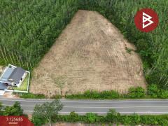 ขายที่ดินเปล่า เนื้อที่ 4 ไร่ 1 งาน ต.หนองเสม็ด ตราด-202511021046111762055171902.jpg