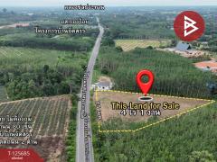 ขายที่ดินเปล่า เนื้อที่ 4 ไร่ 1 งาน ต.หนองเสม็ด ตราด-202511021046131762055173568.jpg