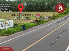 ขายที่ดินเปล่า เนื้อที่ 4 ไร่ 1 งาน ต.หนองเสม็ด ตราด-202511021046141762055174104.jpg