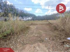 ขายที่ดินเปล่า เนื้อที่ 4 ไร่ 1 งาน ต.หนองเสม็ด ตราด-202511021046141762055174650.jpg