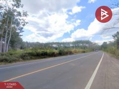 ขายที่ดินเปล่า เนื้อที่ 4 ไร่ 1 งาน ต.หนองเสม็ด ตราด-202511021046151762055175186.jpg