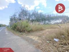 ขายที่ดินเปล่า เนื้อที่ 4 ไร่ 1 งาน ต.หนองเสม็ด ตราด-202511021046151762055175717.jpg