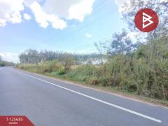 ขายที่ดินเปล่า เนื้อที่ 4 ไร่ 1 งาน ต.หนองเสม็ด ตราด-202511021046161762055176251.jpg