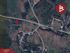 ขายที่ดินเปล่า เนื้อที่ 4 ไร่ 1 งาน ต.หนองเสม็ด ตราด-202511021046161762055176790.jpg