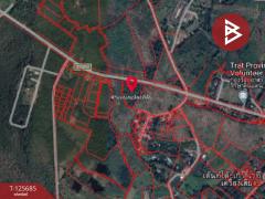 ขายที่ดินเปล่า เนื้อที่ 4 ไร่ 1 งาน ต.หนองเสม็ด ตราด-202511021046171762055177338.jpg