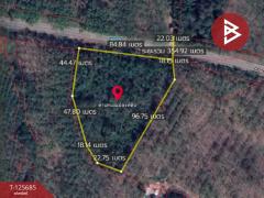 ขายที่ดินเปล่า เนื้อที่ 4 ไร่ 1 งาน ต.หนองเสม็ด ตราด-202511021046171762055177877.jpg