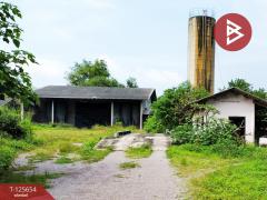 ขายที่ดินพร้อมสิ่งปลูกสร้าง เนื้อที่ 71 ไร่ 2 งาน 2 ตร.วา ห้วยไผ่ ราชบุรี-202511021150351762059035765.jpg